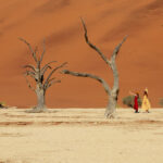 Desert Selfie Alison Lomax