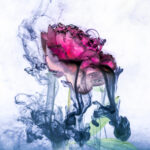 Smoky Peony Ford Renton