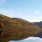 Reflections